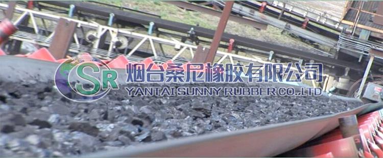 heat resistant rubber conveyor belt.jpg