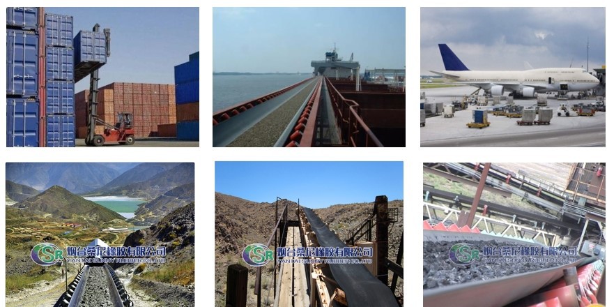 20231204102454 20231204102454